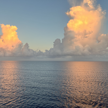 Tom Bayuk - Cape Cod