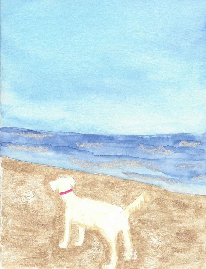 Beach Dog