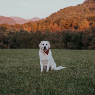 New Hampshire - Ruthie