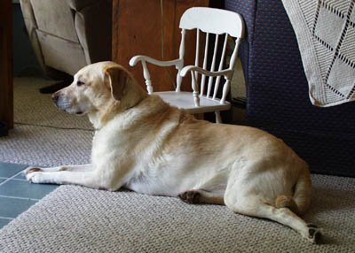 Waiting For School Bus