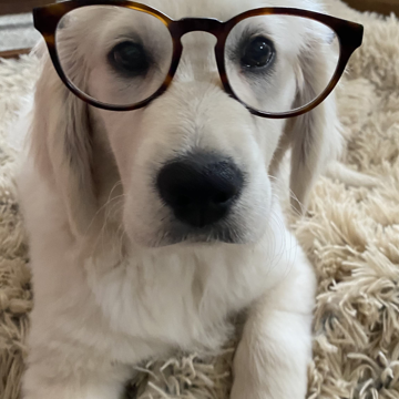 You Look Great - Ruthie