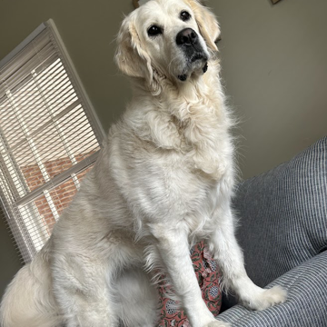 Boyfriend Hunting - Ruthie